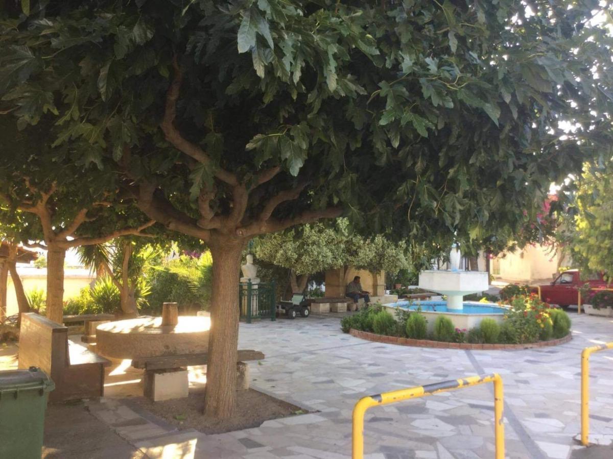 Cosy Country Villa Pappaygiannades Bagian luar foto
